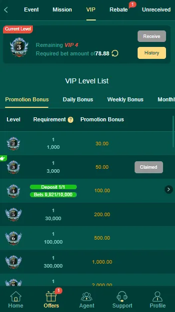 Promotion Bonus